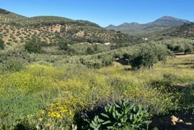 8acdcea7dfc078c1b739ca14f7e68b9695175