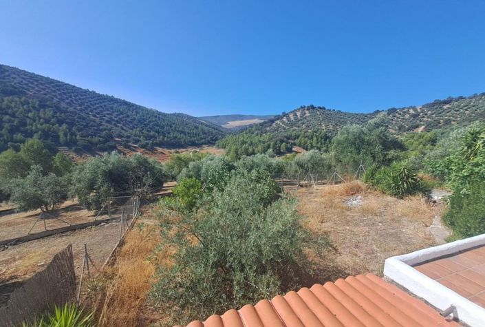 Image No.20-Maison de campagne de 4 chambres à vendre à Iznájar