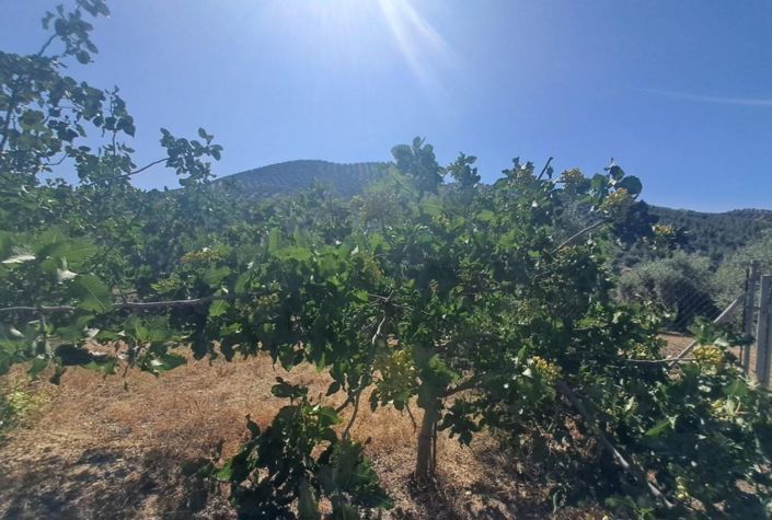 Image No.37-Maison de campagne de 4 chambres à vendre à Iznájar