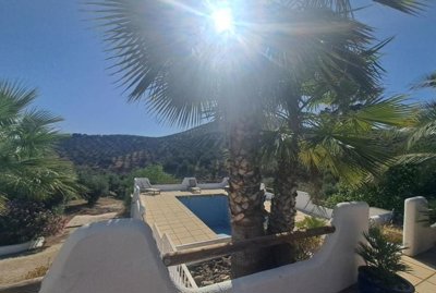 513c12f4a6c5ed8b11f71010f125ccd736167