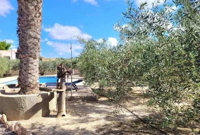 Image No.10-3 Bed Country House for sale