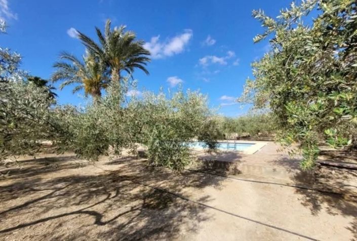 Image No.8-3 Bed Country House for sale