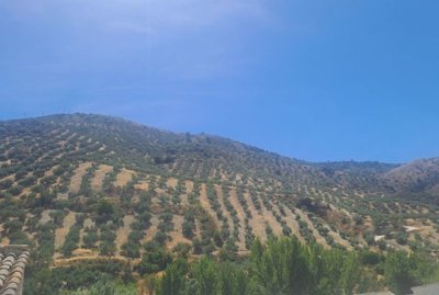 964554583daf8aaa5e93f15dc6ca190387548