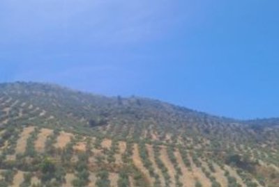 964554583daf8aaa5e93f15dc6ca190339389