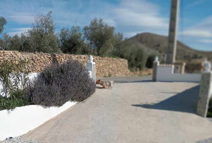 Image No.29-3 Bed Villa for sale