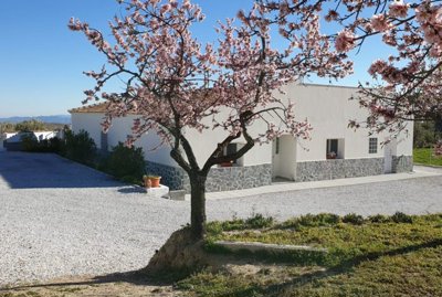 71ef9f6e042e0c0510e1c76b783e7a8126927