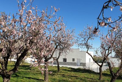 71ef9f6e042e0c0510e1c76b783e7a8154328