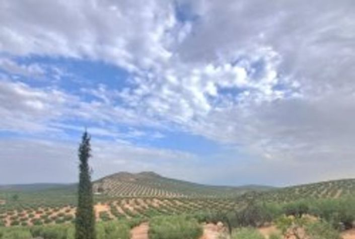 Image No.11-Maison de campagne de 7 chambres à vendre à Jaen