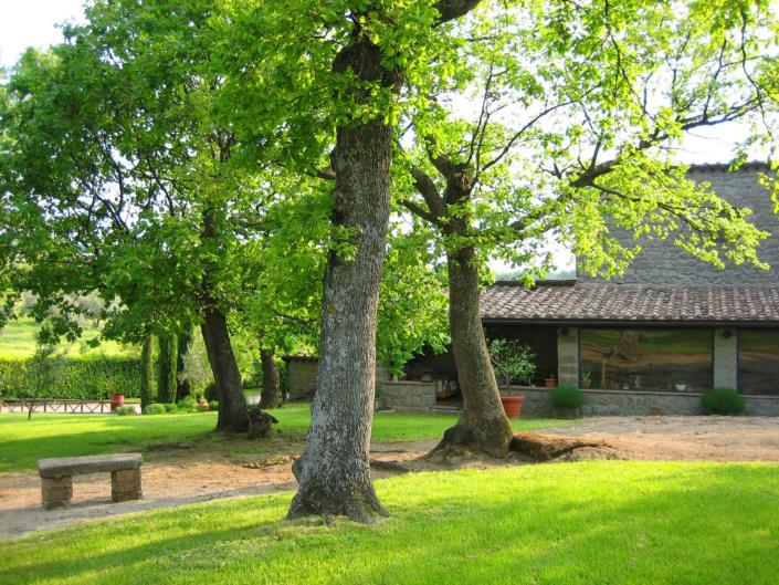 Image No.8-Ferme de 4 chambres à vendre à Viterbo