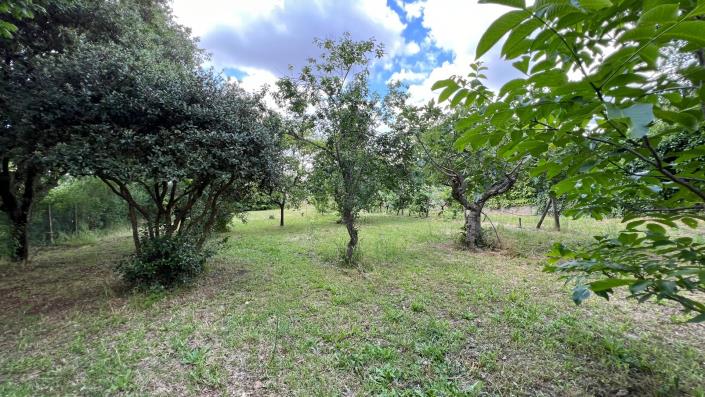 Image No.22-Ferme de 4 chambres à vendre à Viterbo
