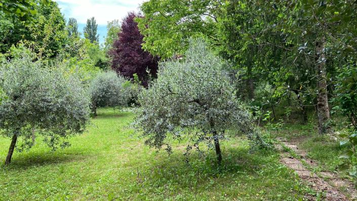 Image No.22-Ferme de 3 chambres à vendre à Rieti