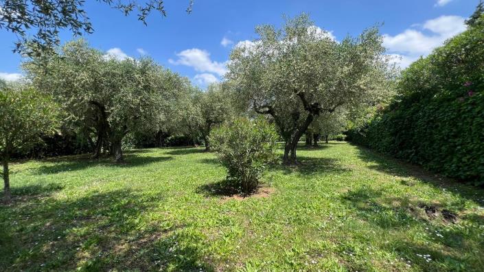 Image No.25-Maison de village de 4 chambres à vendre à Sutri