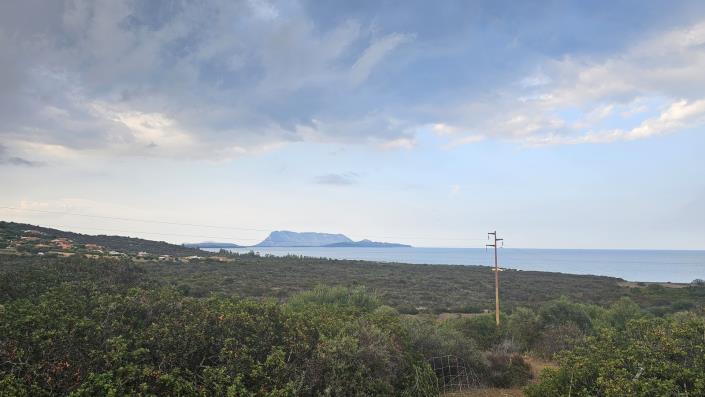 Image No.14-Propriété de pays à vendre à Loiri-Porto San Paolo