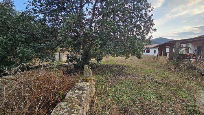 Image No.10-Propriété de pays à vendre à Loiri-Porto San Paolo