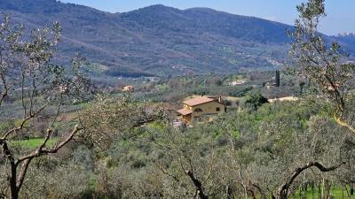 1 - Poggiio Nativo, Villa