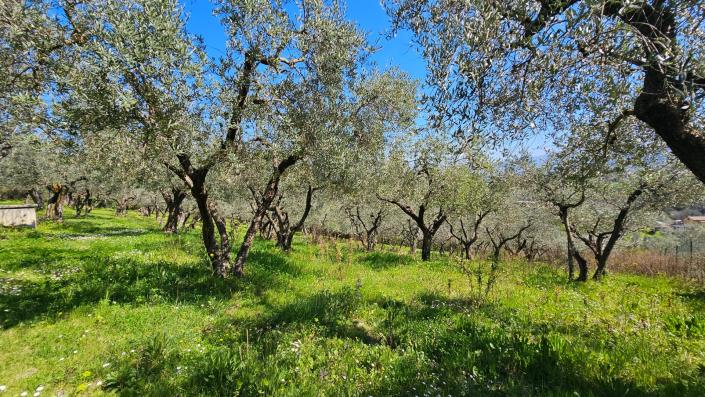 Image No.15-Maison de campagne de 4 chambres à vendre à Rieti
