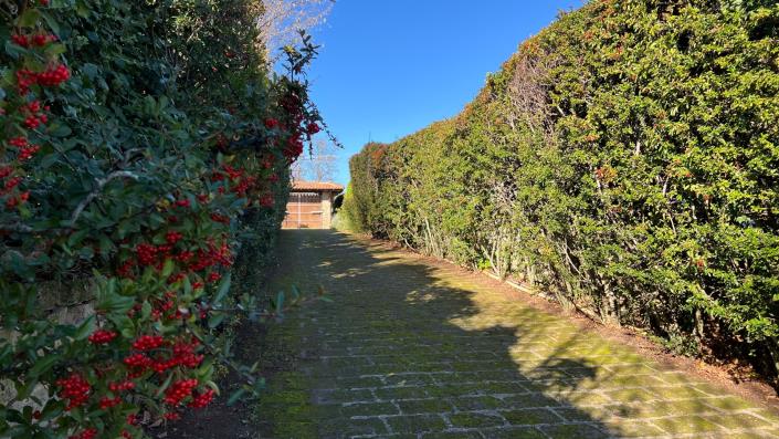 Image No.23-Villa de 6 chambres à vendre à Ronciglione