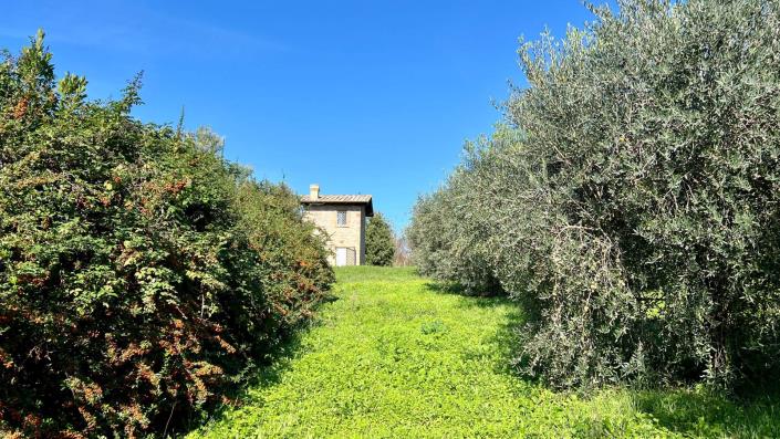 Image No.30-Maison de campagne de 4 chambres à vendre à Capranica