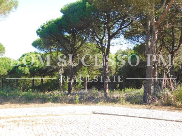 Image No.4-Terrain à vendre à Obidos