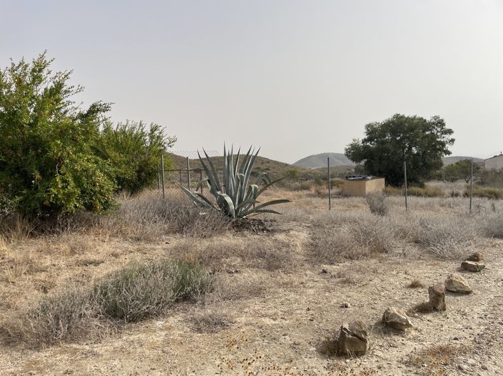 Image No.28-Maison de campagne de 6 chambres à vendre à La Pinilla