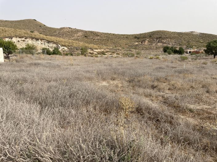 Image No.29-Maison de campagne de 6 chambres à vendre à La Pinilla