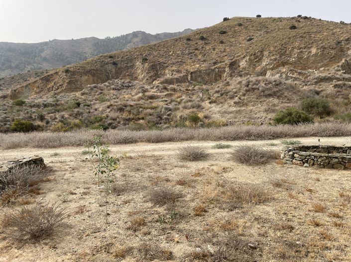 Image No.30-Maison de campagne de 6 chambres à vendre à La Pinilla