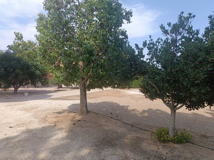 Image No.16-Maison de campagne de 3 chambres à vendre à Cehegín