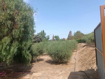 802-country-house-for-sale-in-moratalla-19213