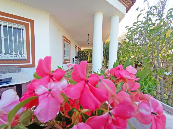 Image No.5-3 Bed Villa for sale