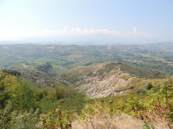 Image No.7-Ferme de 6 chambres à vendre à Atri