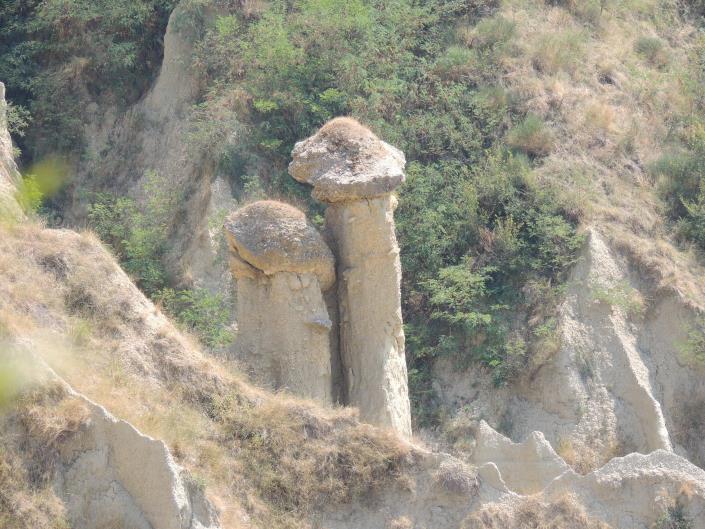 Image No.9-Ferme de 6 chambres à vendre à Atri