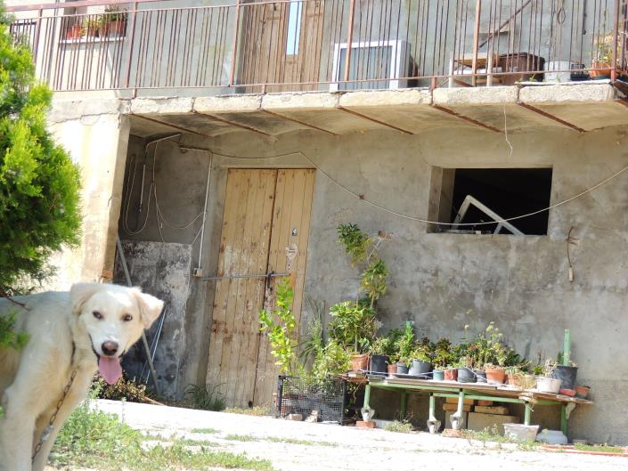 Image No.14-Ferme de 6 chambres à vendre à Atri
