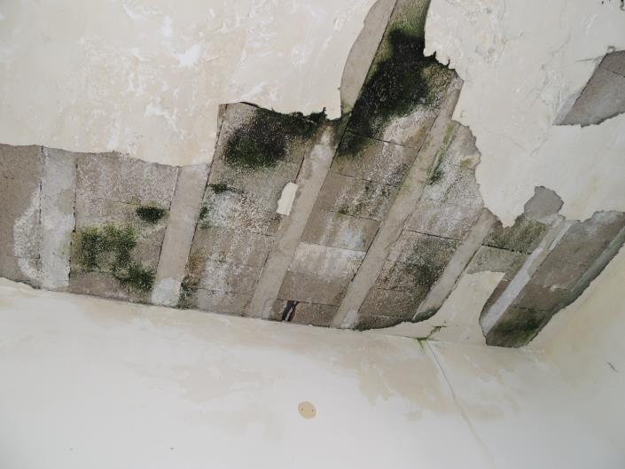 Image No.31-Ferme de 6 chambres à vendre à Atri