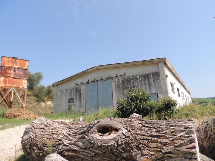 Image No.42-Ferme de 6 chambres à vendre à Atri