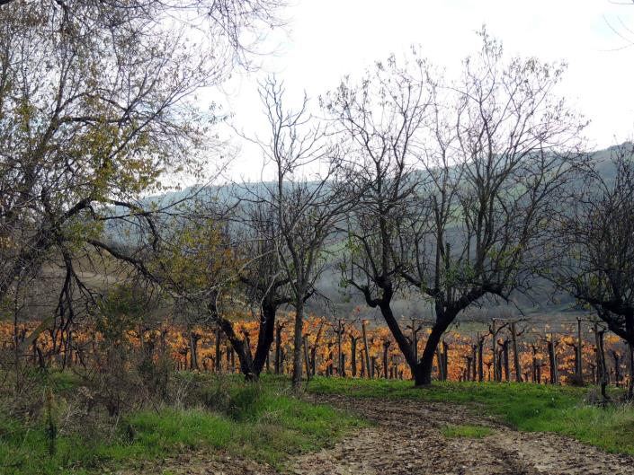 Image No.13-Maison de 5 chambres à vendre à Atri