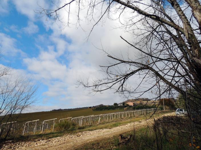 Image No.22-Maison de 5 chambres à vendre à Atri