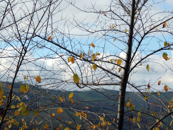 Image No.23-Maison de 5 chambres à vendre à Atri