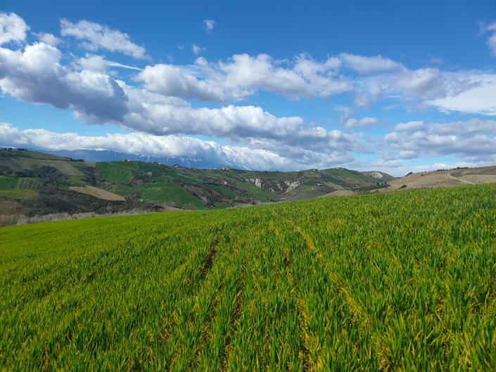 Image No.3-Maison de 5 chambres à vendre à Atri