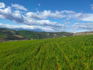 WhatsApp-Image-2023-03-10-at-17-01-56--3-