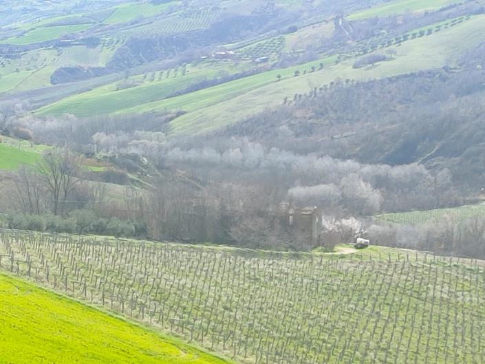 Image No.4-Maison de 5 chambres à vendre à Atri
