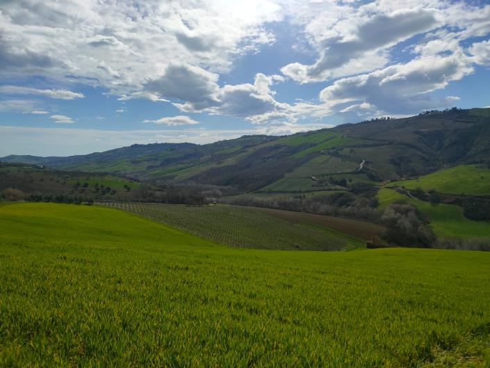 Image No.26-Maison de 5 chambres à vendre à Atri