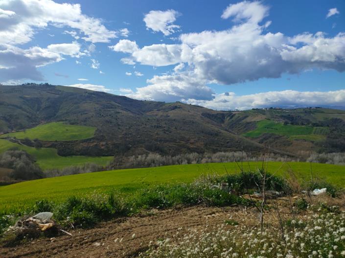 Image No.2-Maison de 5 chambres à vendre à Atri
