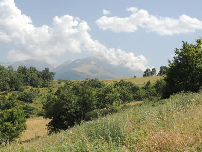 Image No.2-3 Bed Cottage for sale