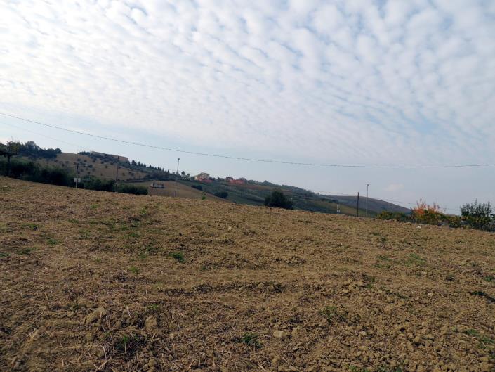 Image No.3-Terre à vendre à Atri