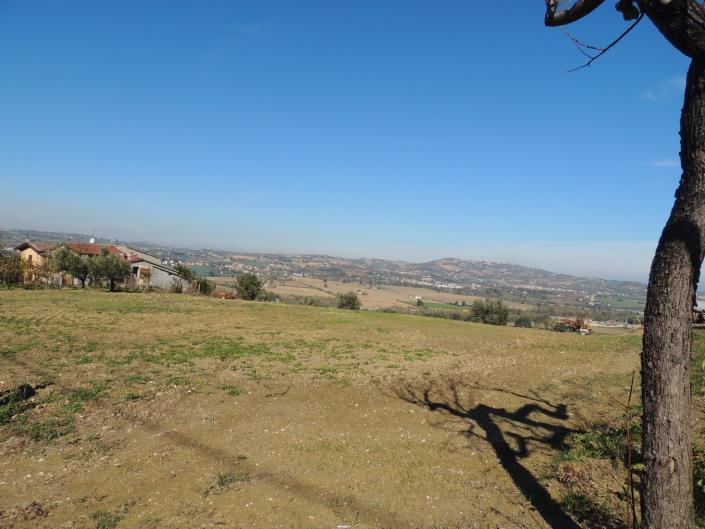 Image No.7-Terre à vendre à Atri