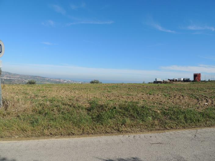 Image No.8-Terre à vendre à Atri