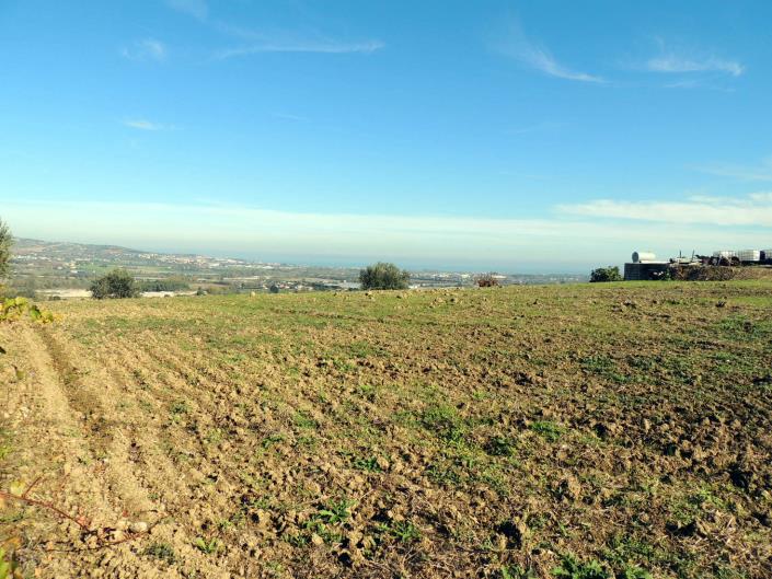 Image No.9-Terre à vendre à Atri