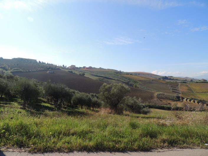 Image No.12-Terre à vendre à Atri