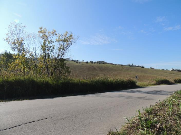 Image No.14-Terre à vendre à Atri