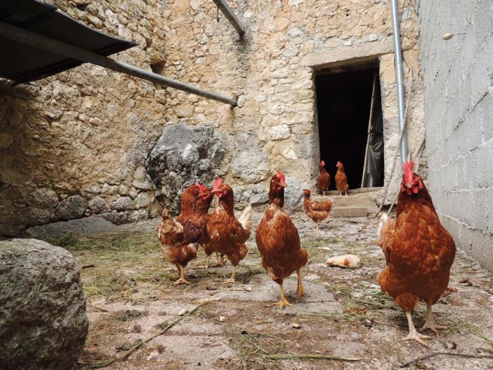 Image No.11-Chalet de 2 chambres à vendre à Caramanico Terme